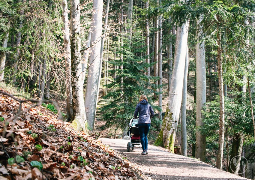 Mit Kinderwagen auf dem Tegernseer Höhenweg wandern