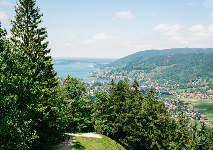 Weg auf den Wallberg mit Kinderwagen