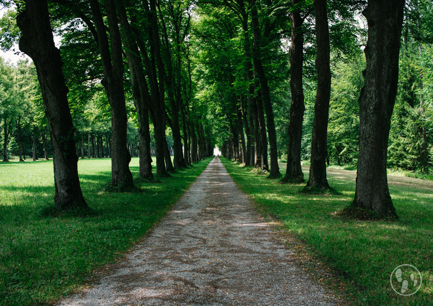 Alle beim Wandern auf der Herreninsel mit Kinderwagen