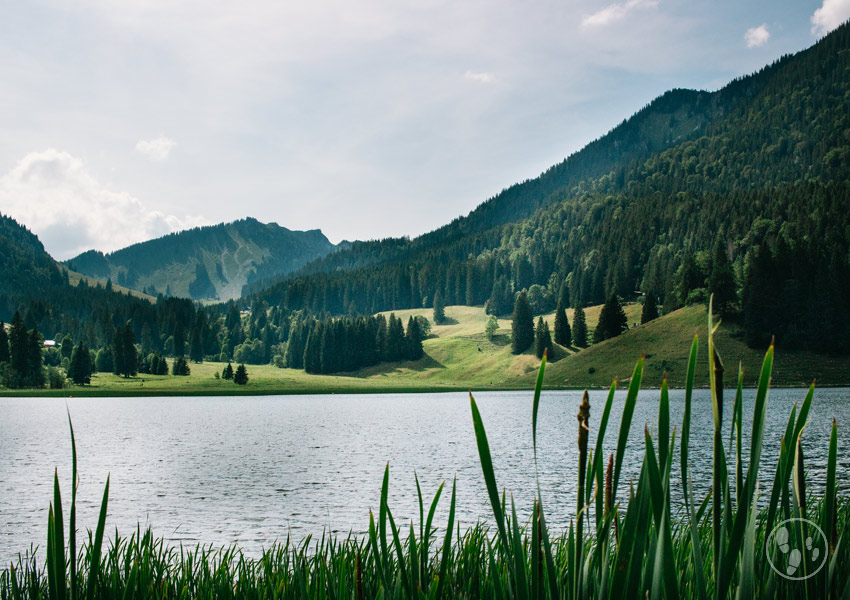 Spitzingsee