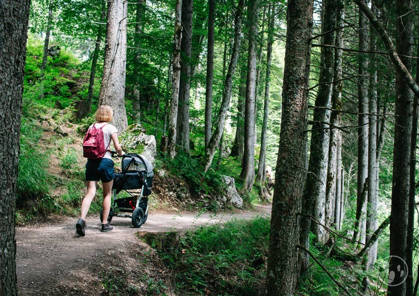 Wandern mit Kinderwagen am Spitzingsee