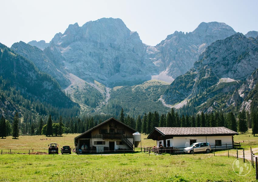 Rohntalalm im Karwendel