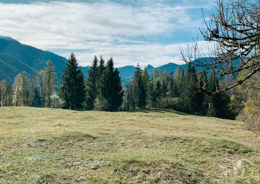 Blick ins Kreuther Tal auf dem Weg zum Berggasthaus Riederstein