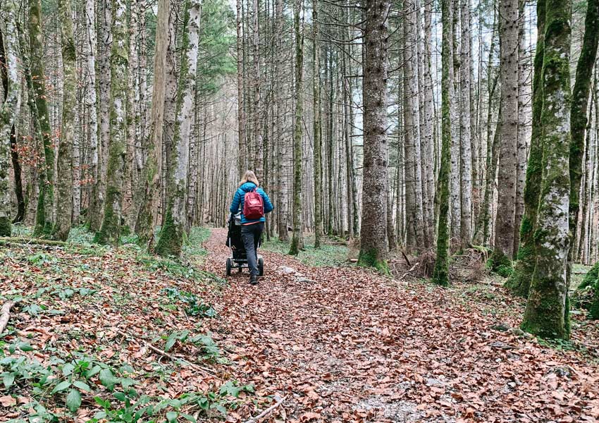 Waldweg mit Kinderwagen zum Glasbach Wasserfall in der Jachenau