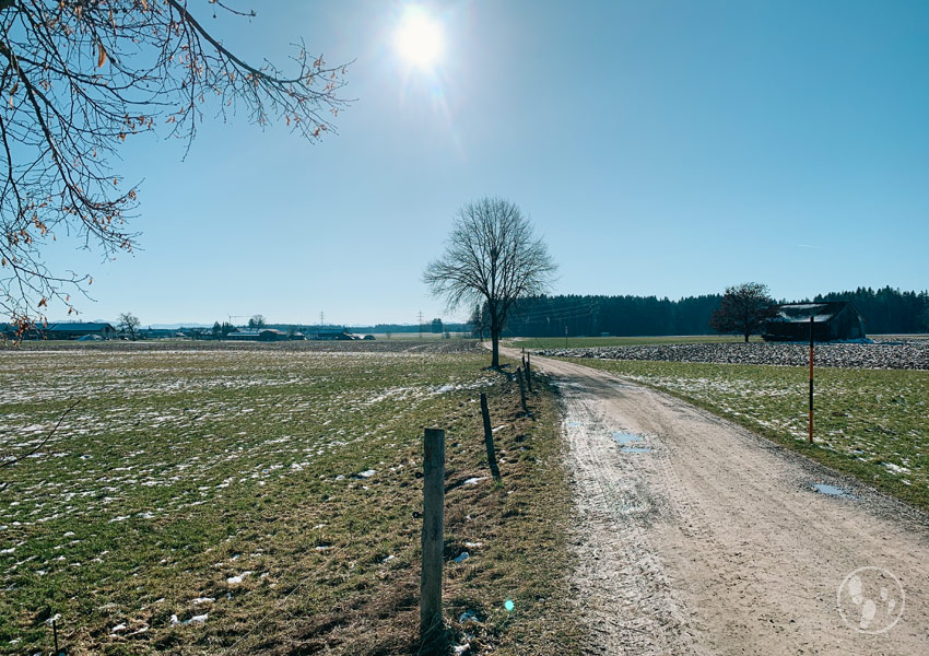 Feldweg bei Otterfing auf der Jasberg-Runde mit Kinderwagen.