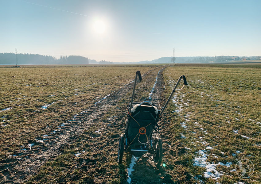 Wiesenweg Jasbergrunde mit Kinderwagen