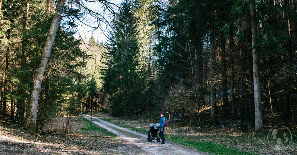 Durch den Teufelsgraben Holzkirchen mit Kinderwagen mamameilen.de