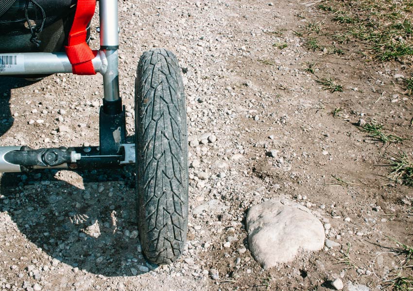 Kinderwagenrad Sachsenkamer Rundweg