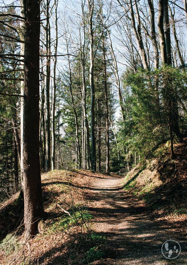 Kinderwagenwanderung im Mangfalltal bei Weyarn