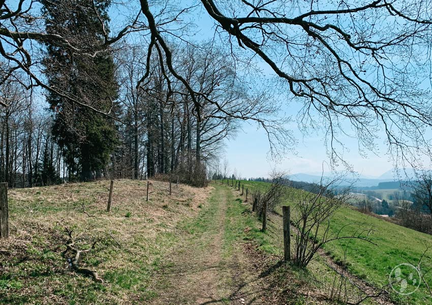 Wiesenweg bei Einhaus