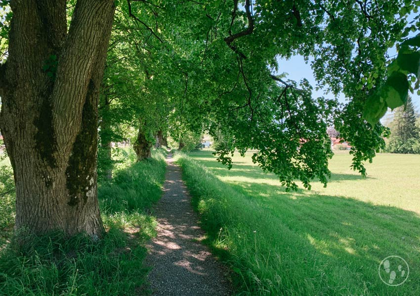 Wandern mit Kinderwagen in Oberammergau: Altherrenweg