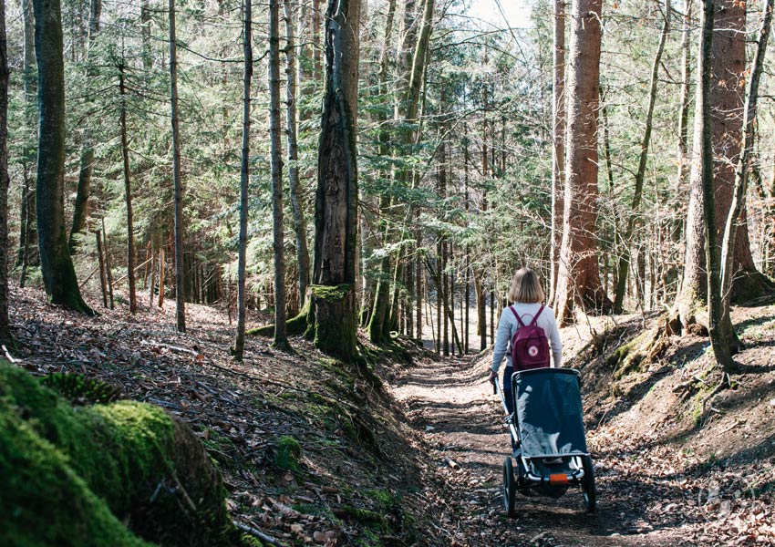 Kinderwagenwanderung bei Holzkirchen_ Teufelsgraben