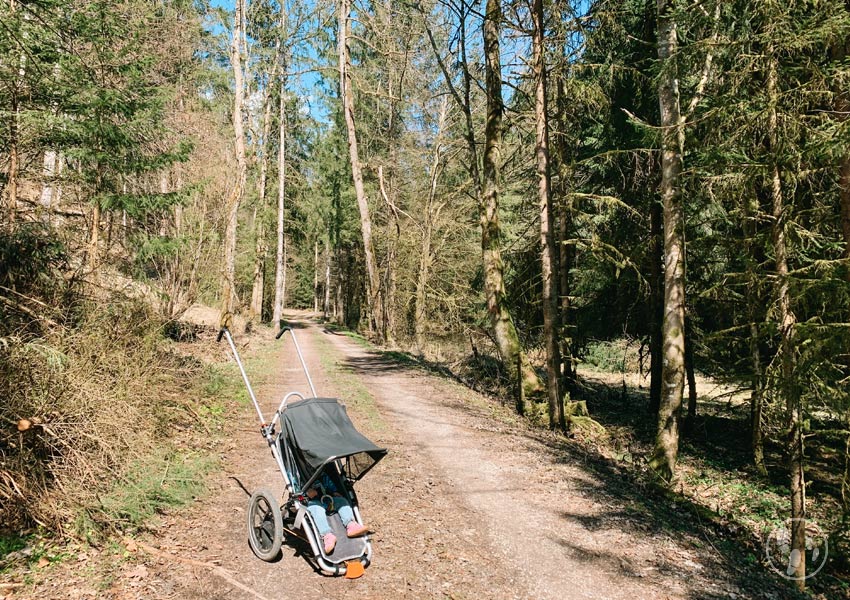 HikeKid im Teufelsgraben bei Holzkirchen