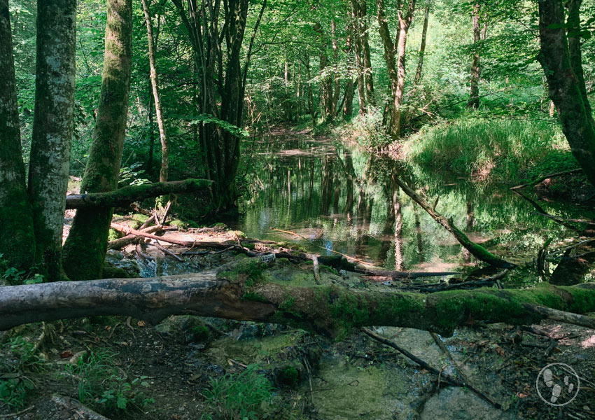 Weiher im Mangfalltal