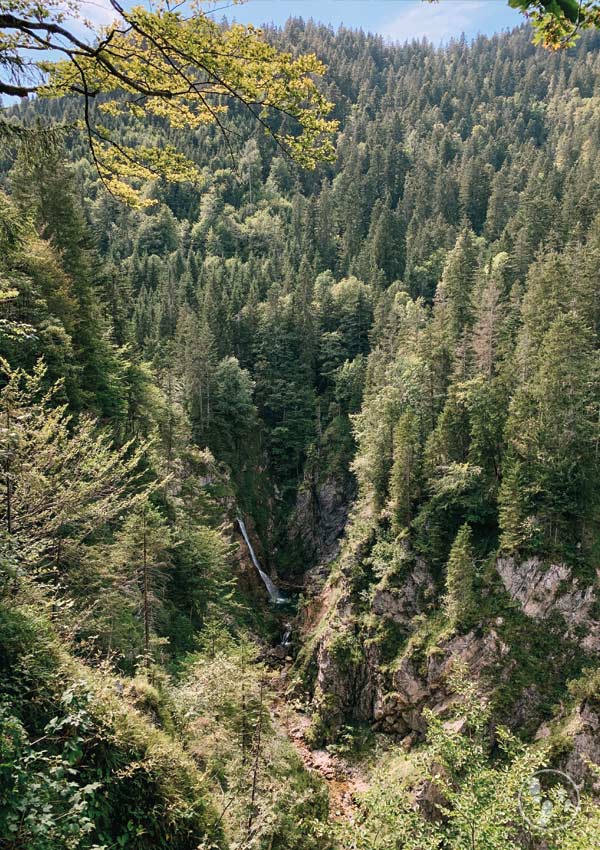 Ausblick auf den Röthelmoos Wasserfall