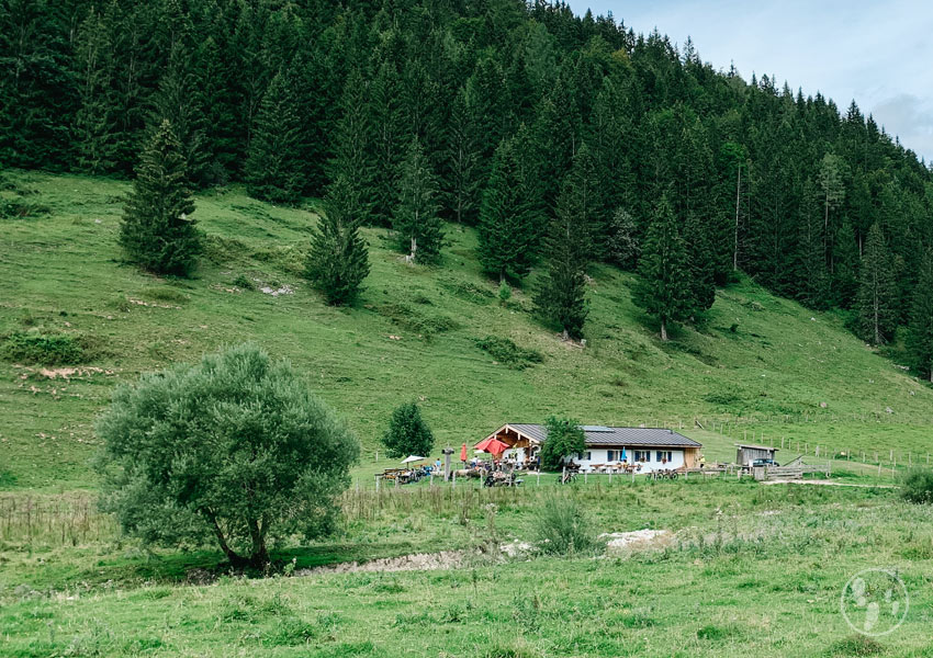 Wanderung zur Dandlalm mit Kinderwagen