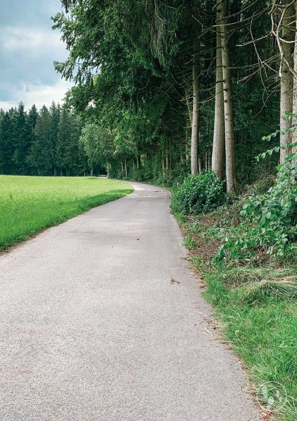 Asphaltstraße am Waldrand bei Mitterdarching