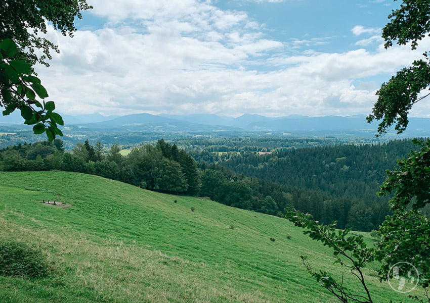 Blick vom Fentberg zum Mangfallgebirge