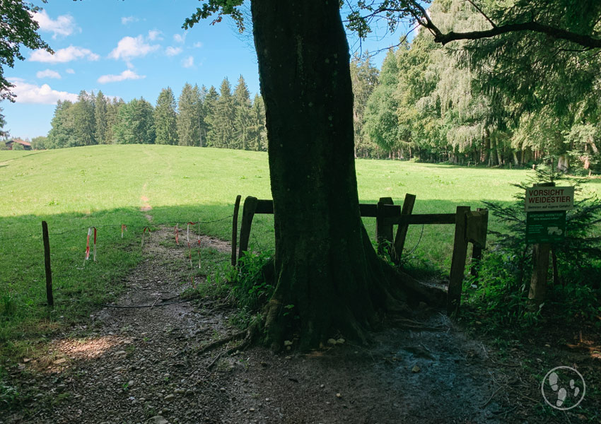 Gatter zur Weide auf dem Fentberg