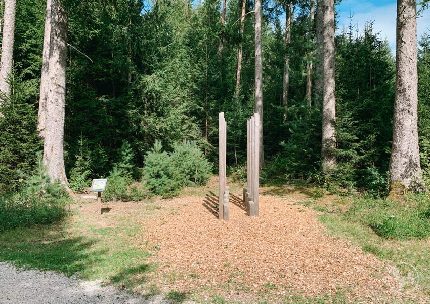 Walderlebnisweg bei München