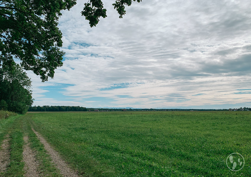 Aussicht auf dem Hohenbrunner Rundwanderweg