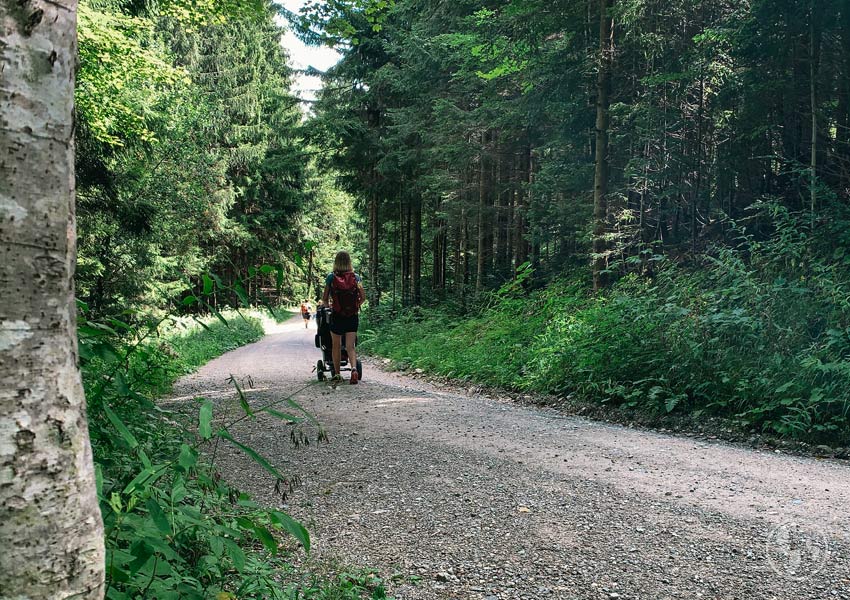 Weg zur Tregler Alm mit Kinderwagen