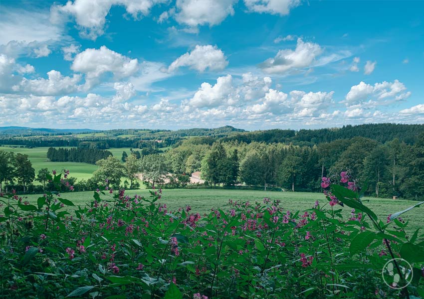 Zur Tregler Alm mit KInderwagen