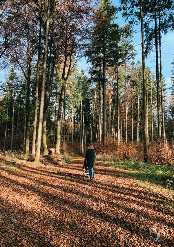 Wandern mit Kinderwagen bei Aying