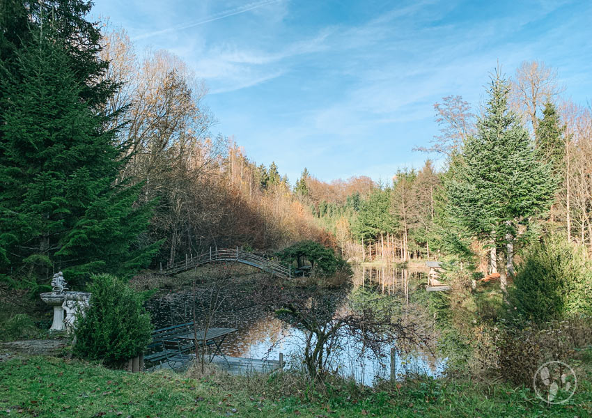 Weiher im Wald mit Insel bei Aying