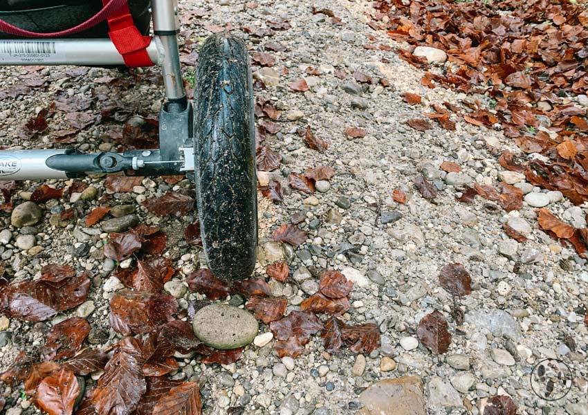 Wanderung mit Kinderwagen bei Aying