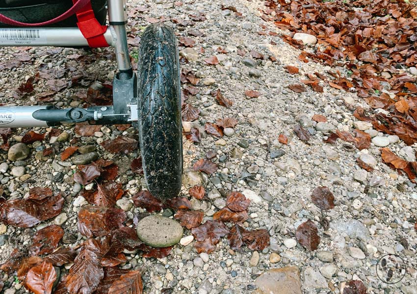 Wanderung mit Kinderwagen bei Aying