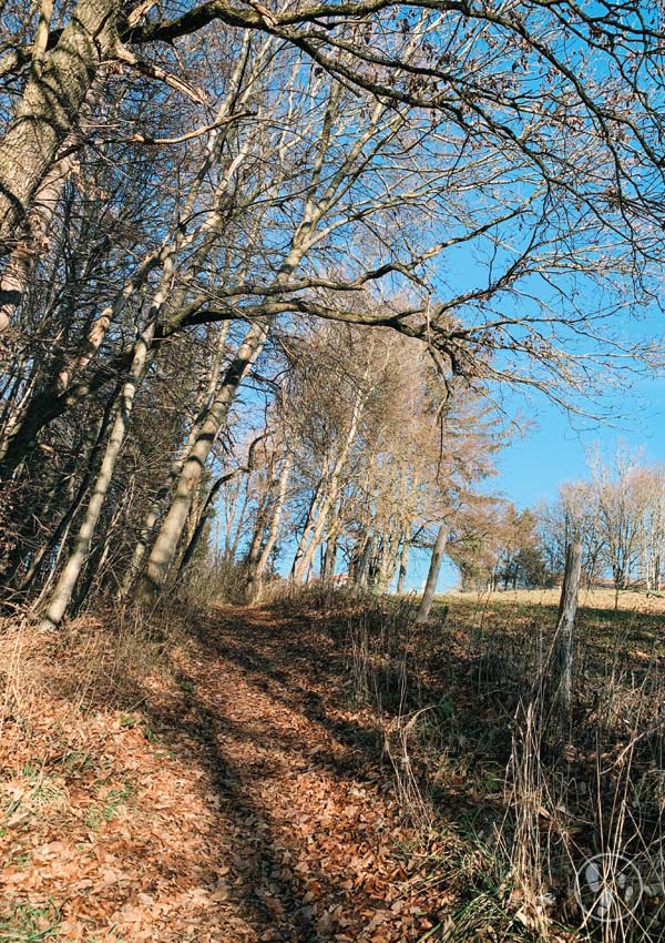 Fußweg zum Weyarner Lindl mit Kinderwagen