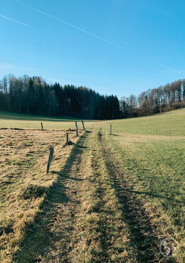 Wiesenweg beim Weyarner Lindl