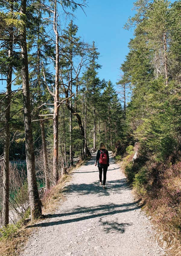 Rundwanderweg um den Eibsee mit Kinderwagen