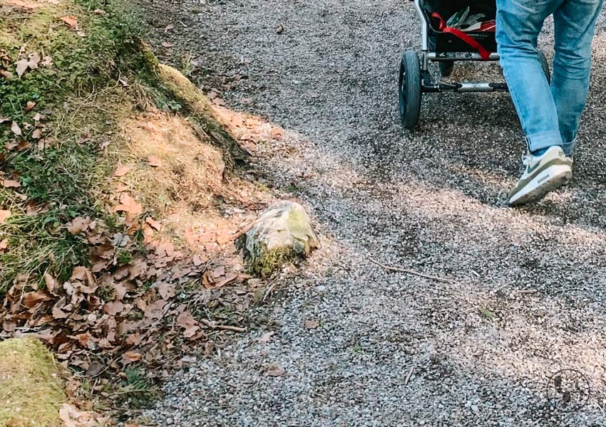 Rundwanderweg um den Eibsee mit Kinderwagen