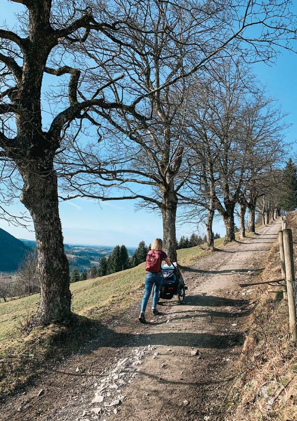 Wanderung zur Schliersbergalm mit Kinderwagen