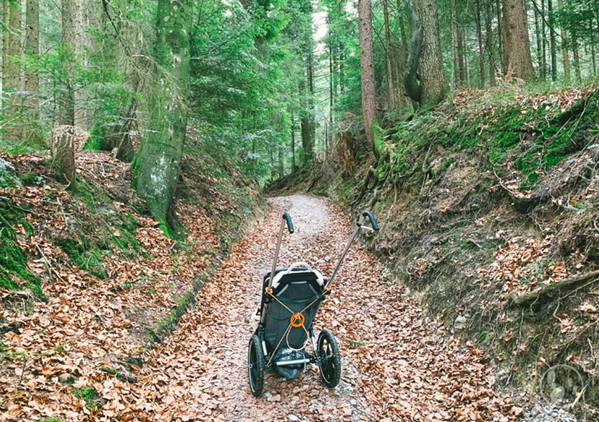 Der Hike Kid im Wald