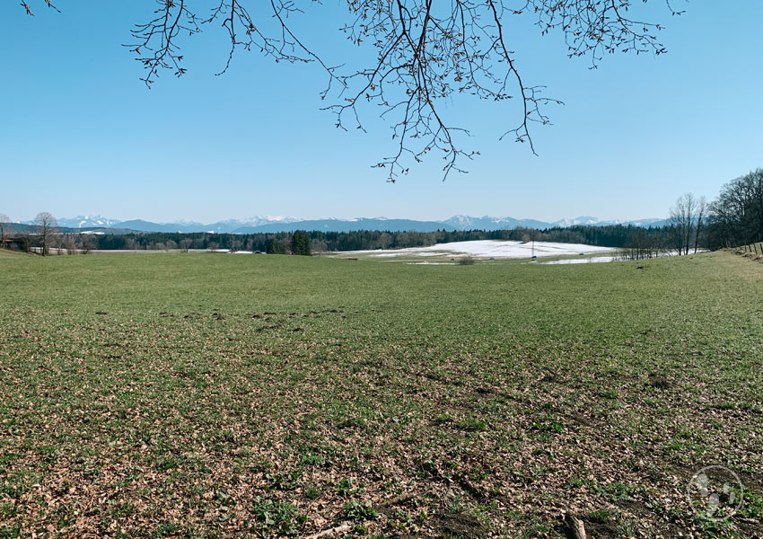 Blick vom Asberg bei Großhartpenning mit Bergpanorama