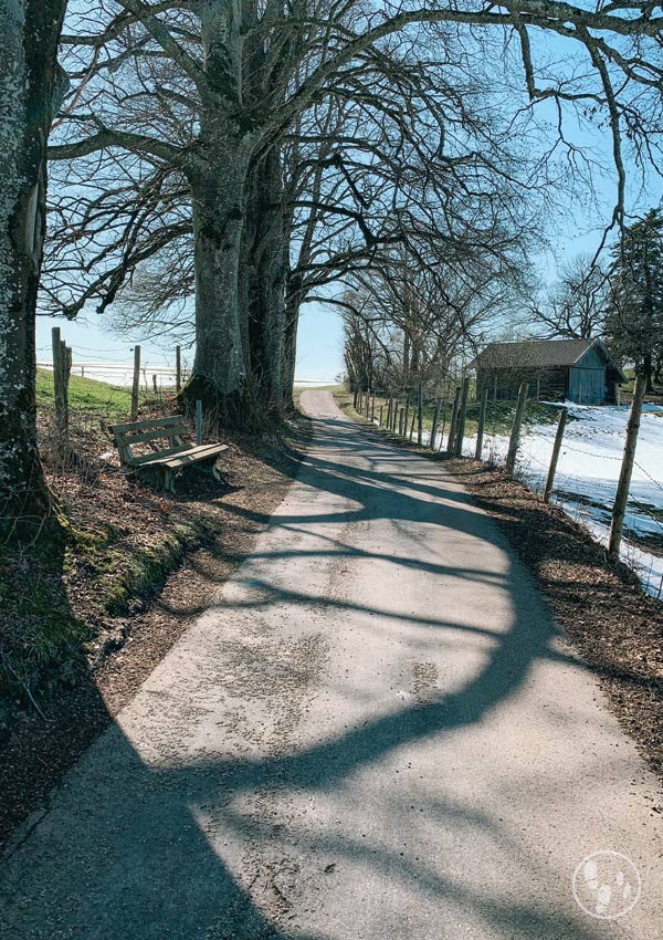 Wanderung über den Asberg