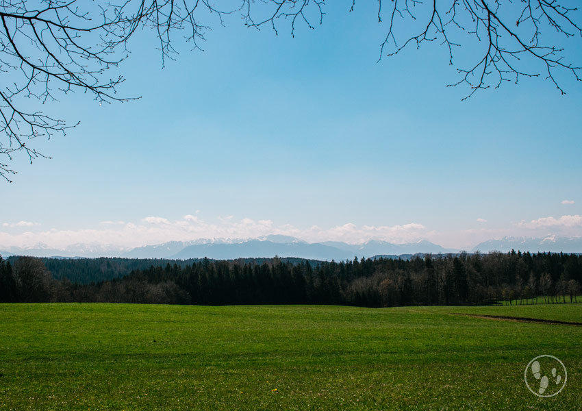 Panorama von der Ludwigshöhe