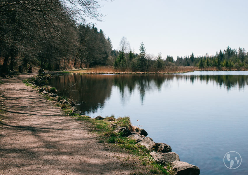 Wanderung um den Deininger Weiher mit Kinderwagen