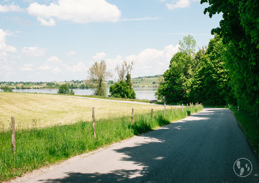 Rundwanderung Riegsee mit Kinderwagen: Straße nach Egling