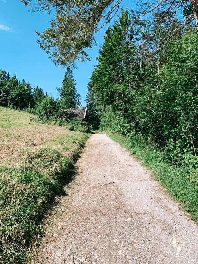 Barmsee Rundweg mit Kinderwagen