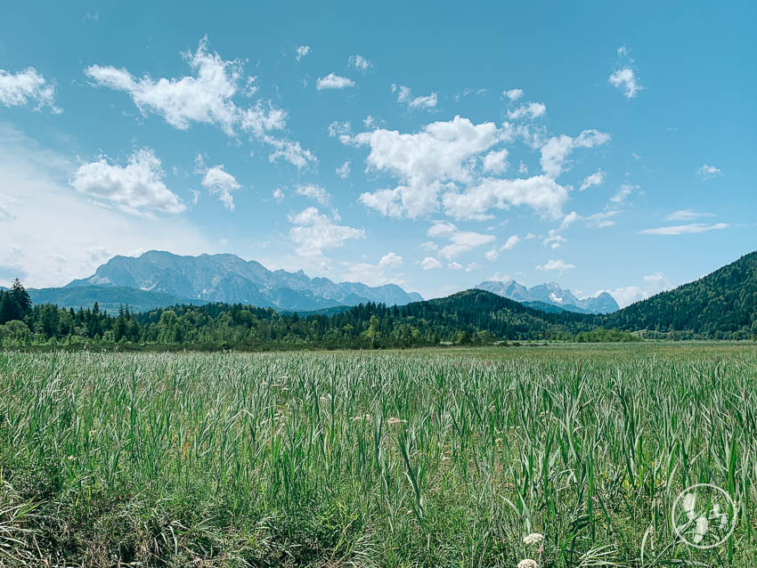 Rundwanderweg Barmsee: Blick ins Karwendel