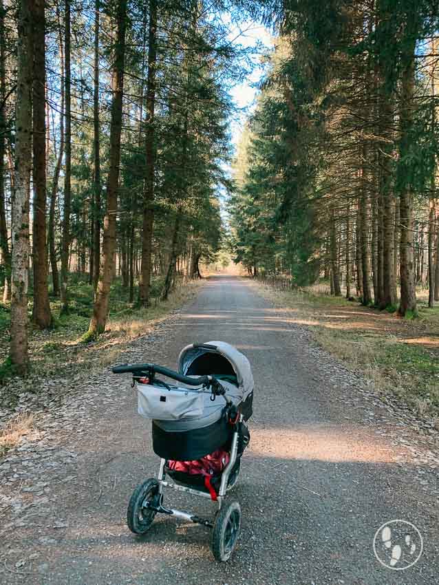 Wandern mit Kinderwagen zum Nickelheimer Moor
