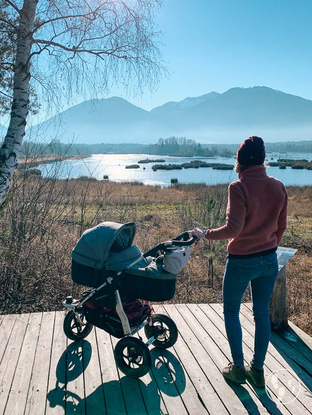 Blick übers Nickelheimer Moor mit Kinderwagen