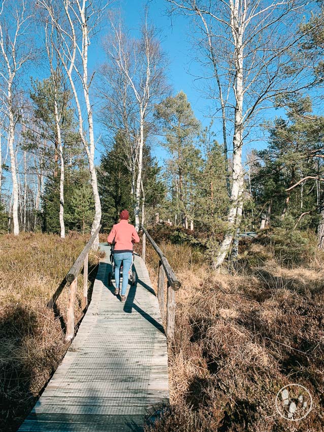 Durch das Nickelheimer Moor mit Kinderwagen auf einem Bohlenweg