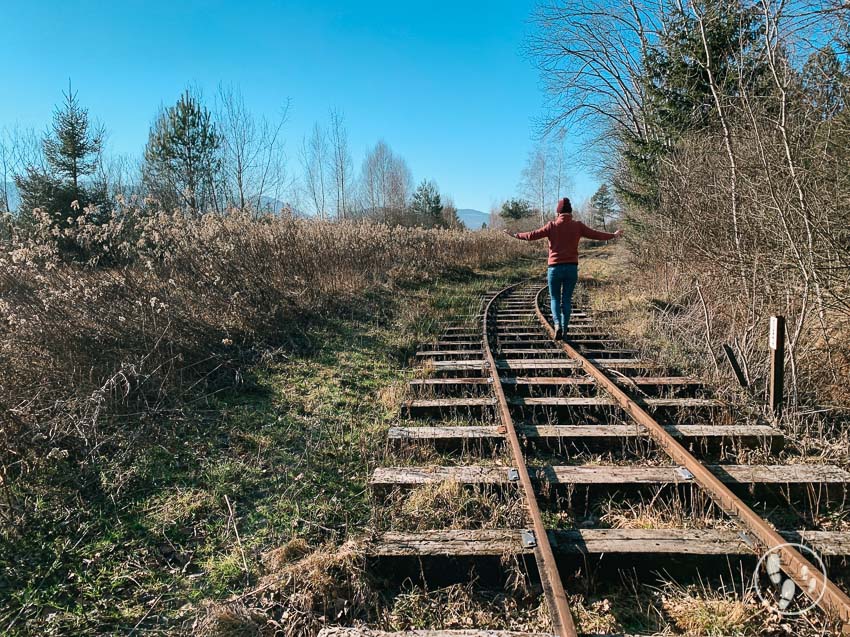 Balancieren auf den Gleisen der Bockerlbahn im Nickelheimer Moor