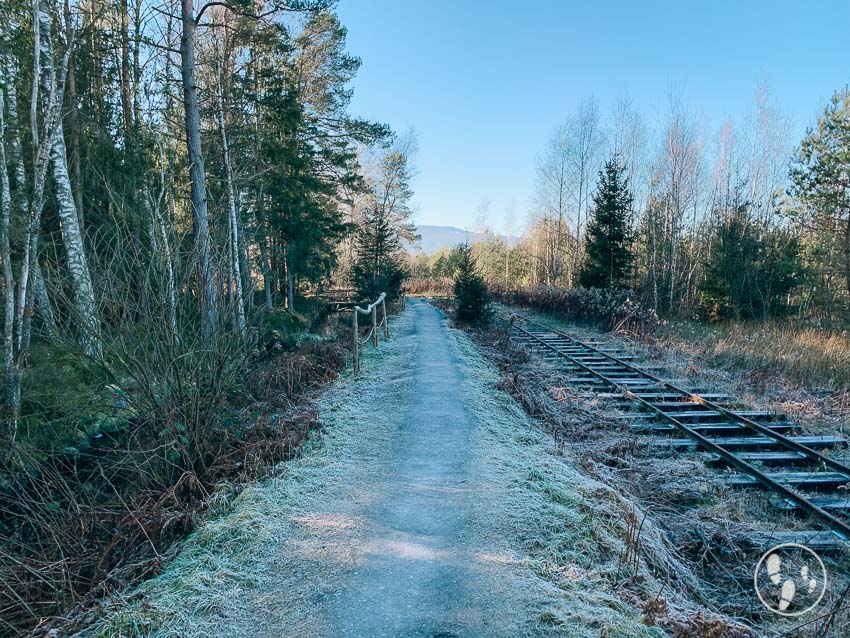 Weg durchs Nickelheimer Moor entlang der Bockerlbahn