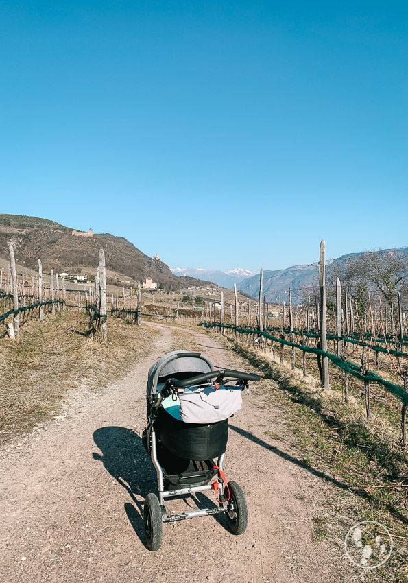 Kinderwagen im weinberg in südtirol